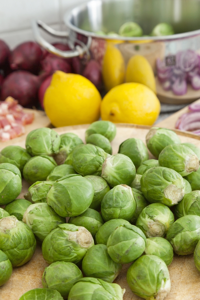 Brussels Sprouts - Brassica oleracea 'Long Island' from GCM Theme Three